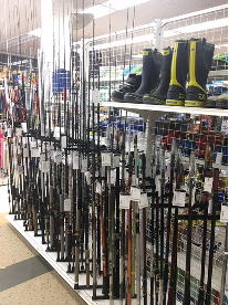 �����������������C���[�W